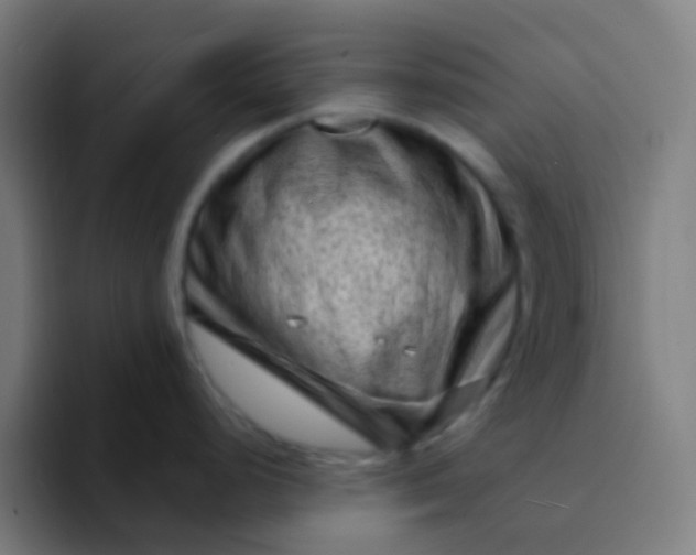 X0000094331248200711161943
