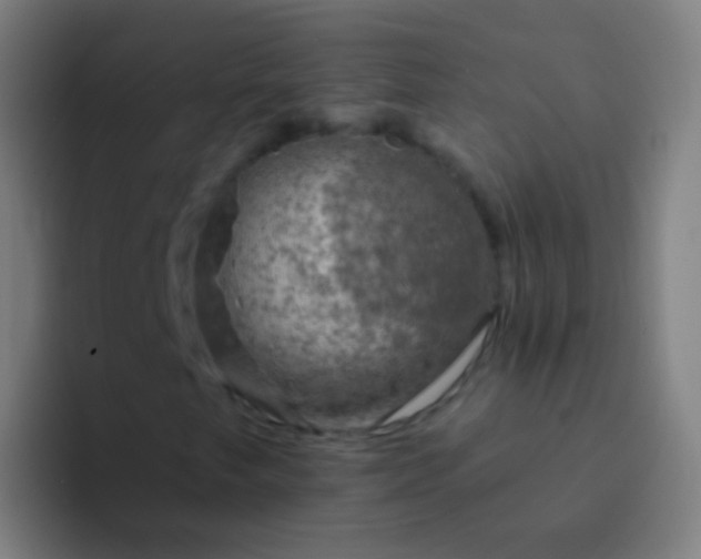 X0000094331249200711161943