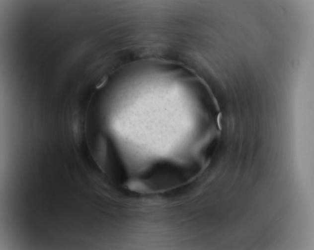 X0000094331250200711161943