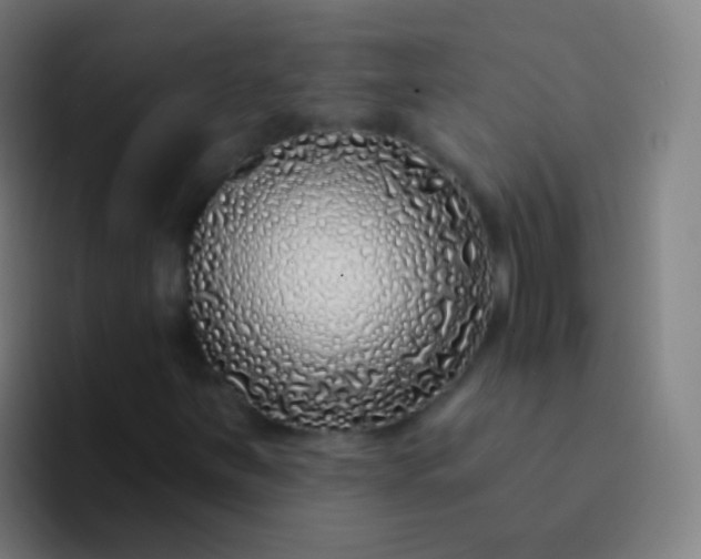 X0000094331251200711161943