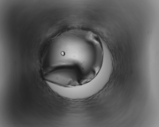 X0000094331253200711161943