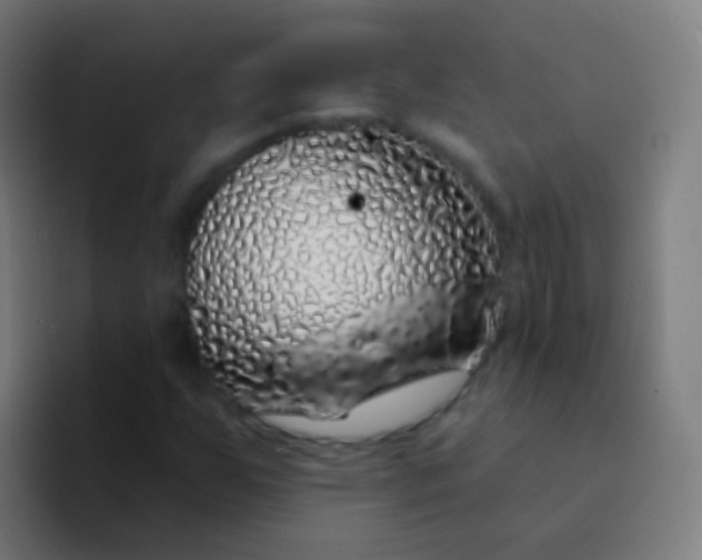 X0000094331255200711161943