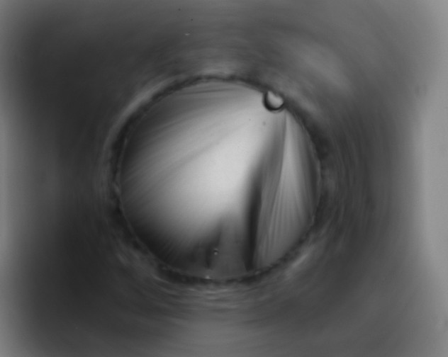 X0000094331256200711161943