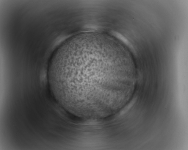 X0000094331259200711161943
