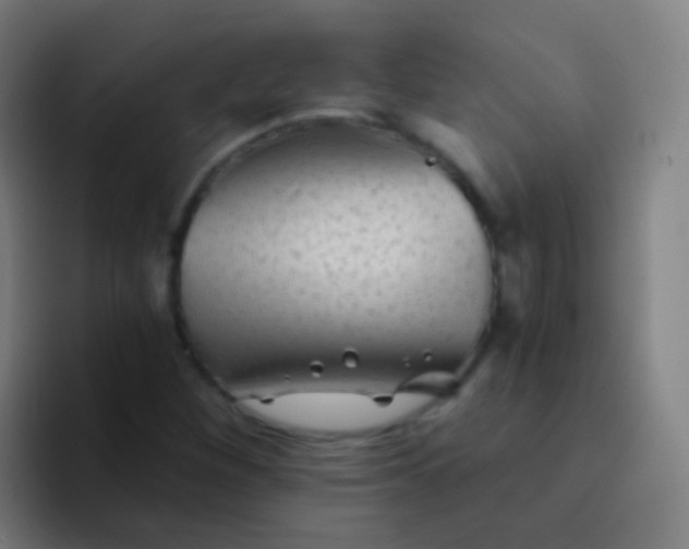 X0000094331260200711161943