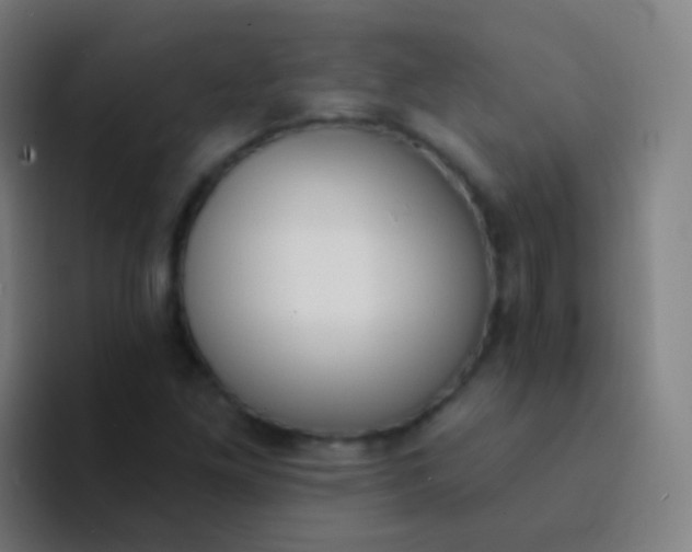 X0000094331261200711161943