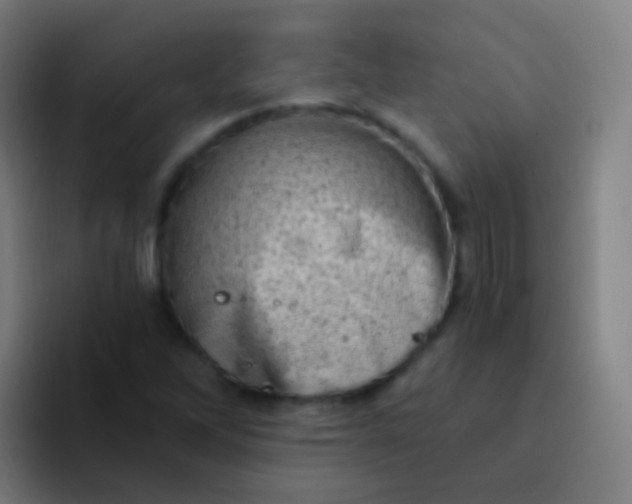 X0000094331262200711161943