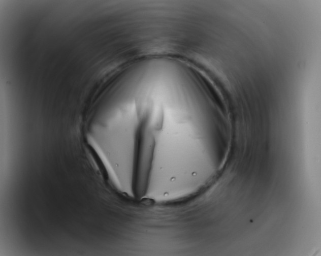 X0000094331265200711161942