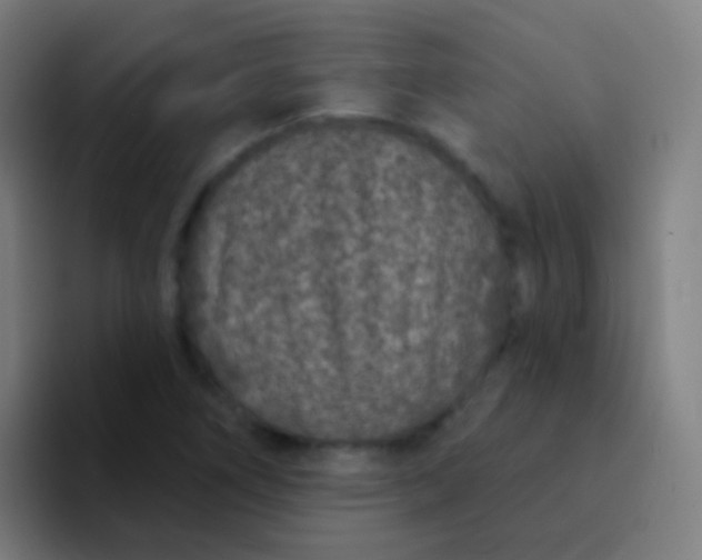 X0000094331266200711161942