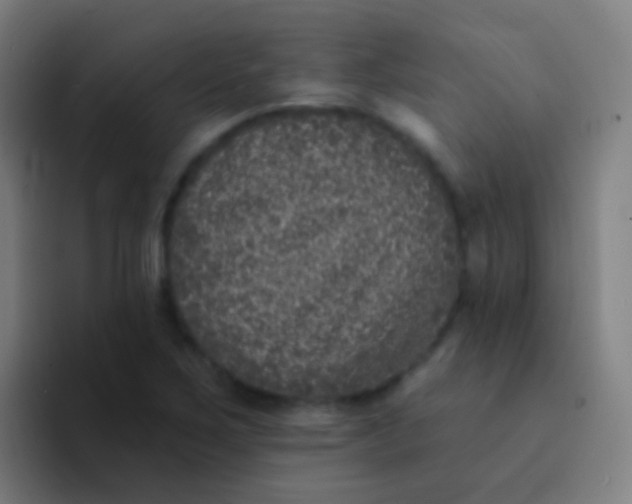 X0000094331267200711161942
