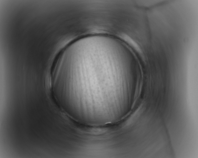 X0000094331269200711161942
