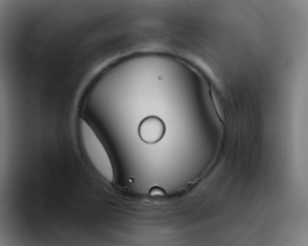 X0000094331270200711161942