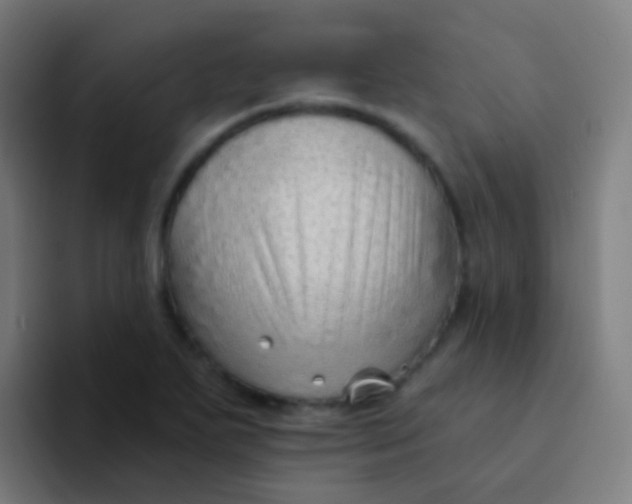 X0000094331271200711161942