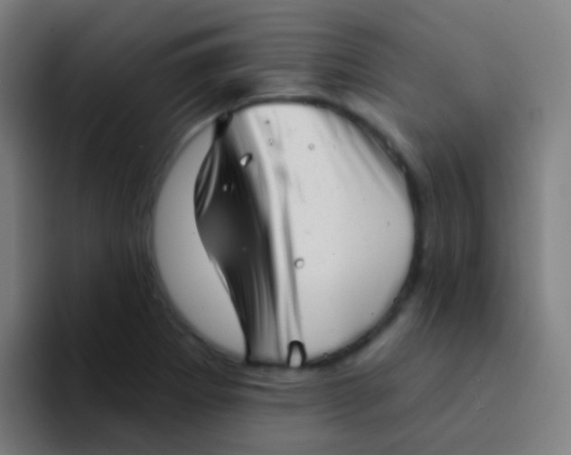 X0000094331273200711161942
