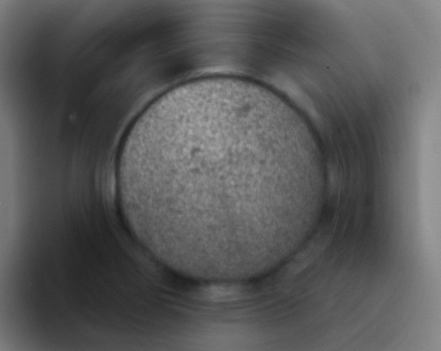X0000094331274200711161942