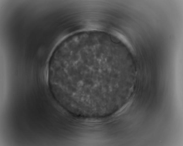 X0000094331275200711161942