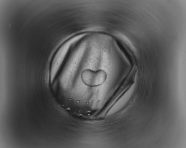 X0000094331276200711161942