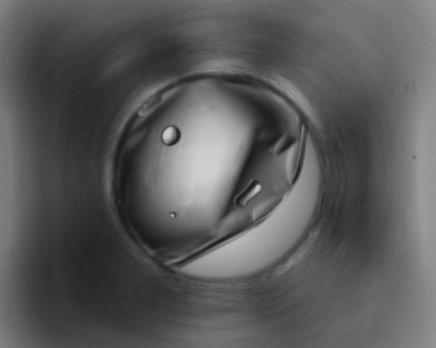 X0000094331277200711161942