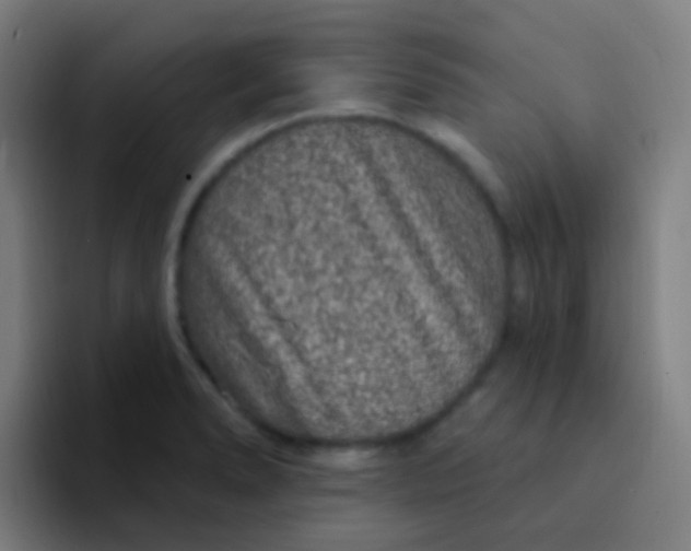 X0000094331278200711161942
