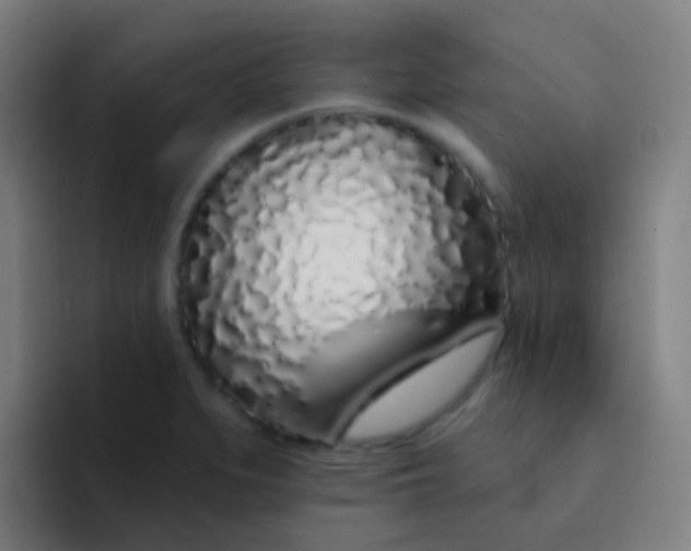 X0000094331279200711161942