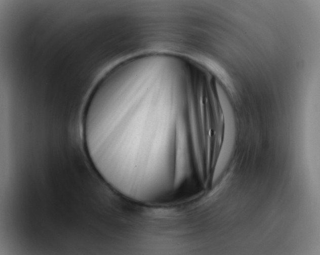 X0000094331280200711161942