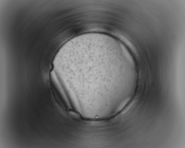 X0000094331281200711161942