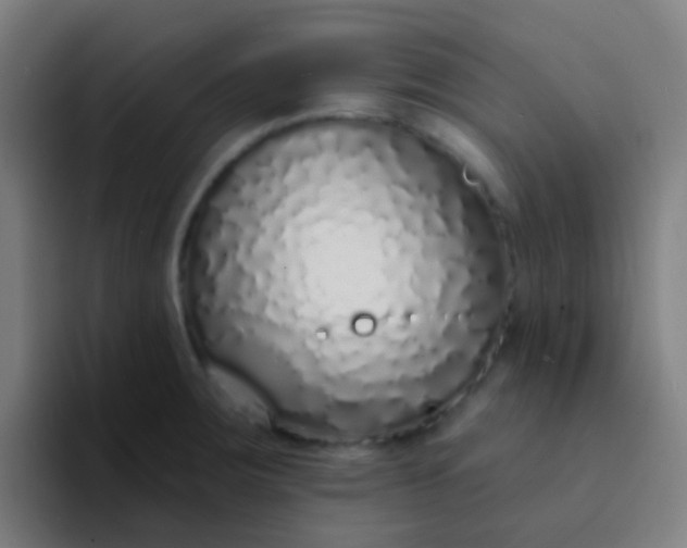 X0000094331283200711161942