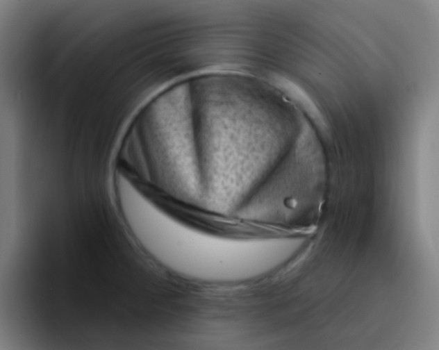 X0000094331284200711161942
