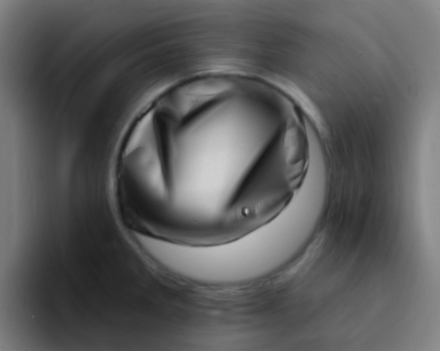X0000094331285200711161942