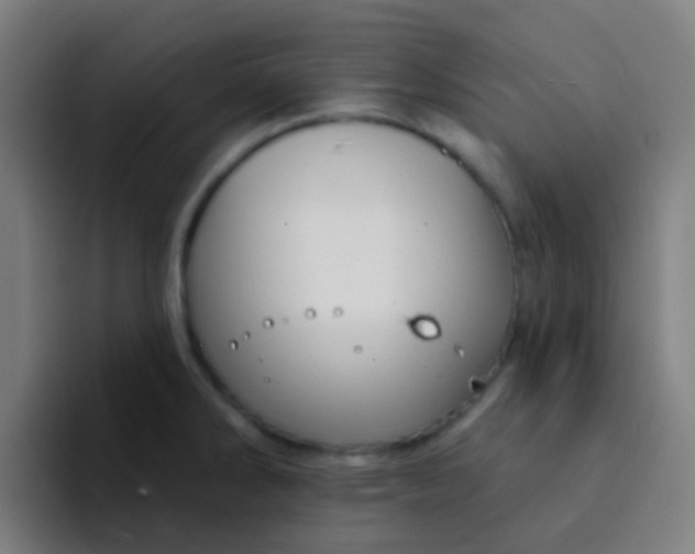 X0000094331286200711161942