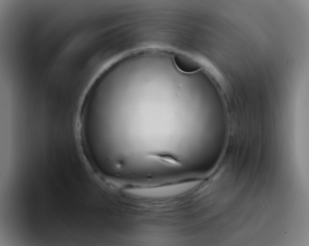 X0000094331287200711161942