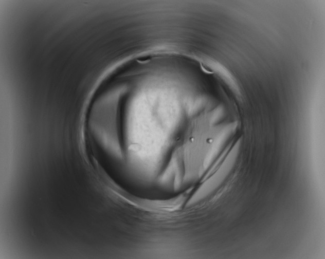 X0000094331288200711161942