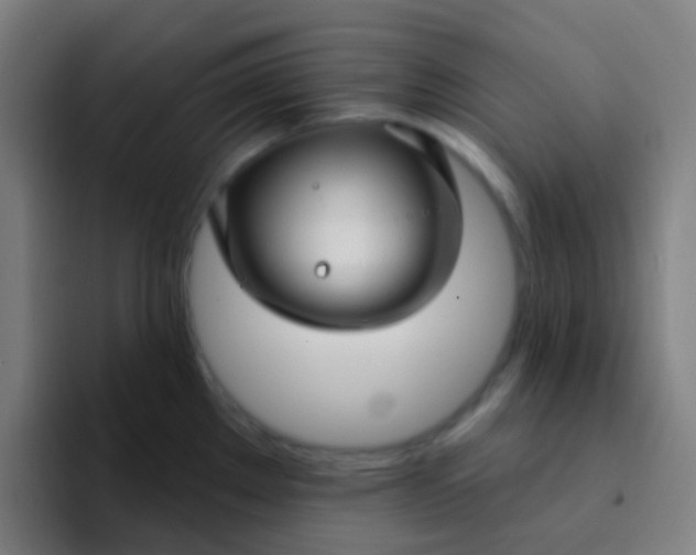 X0000094331289200711161942