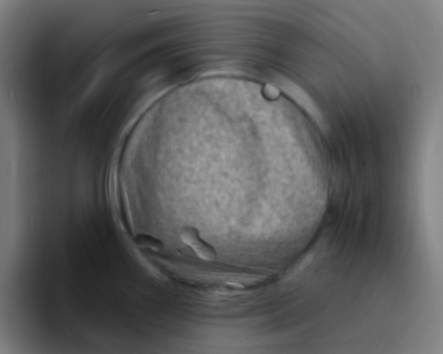 X0000094331290200711161942