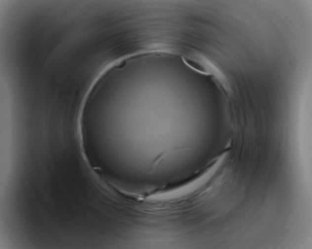 X0000094331291200711161942