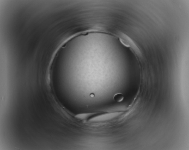 X0000094331292200711161942