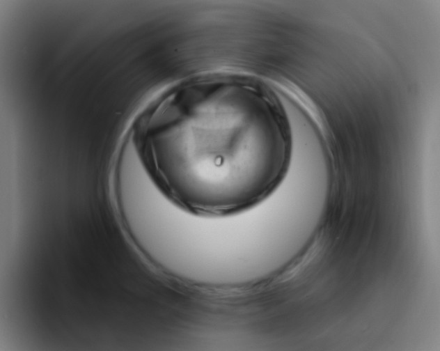 X0000094331293200711161942