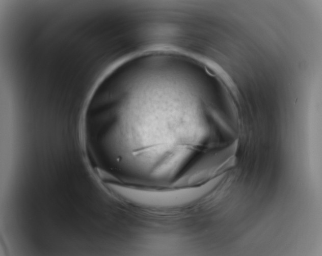 X0000094331295200711161942