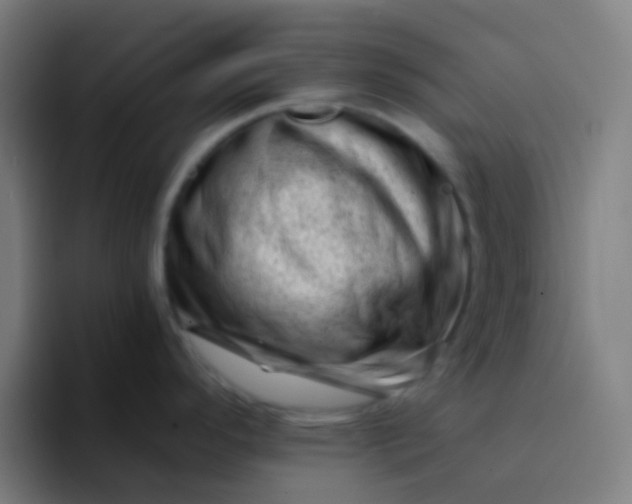 X0000094331296200711161942