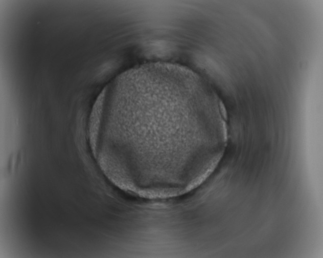 X0000094331297200711161941