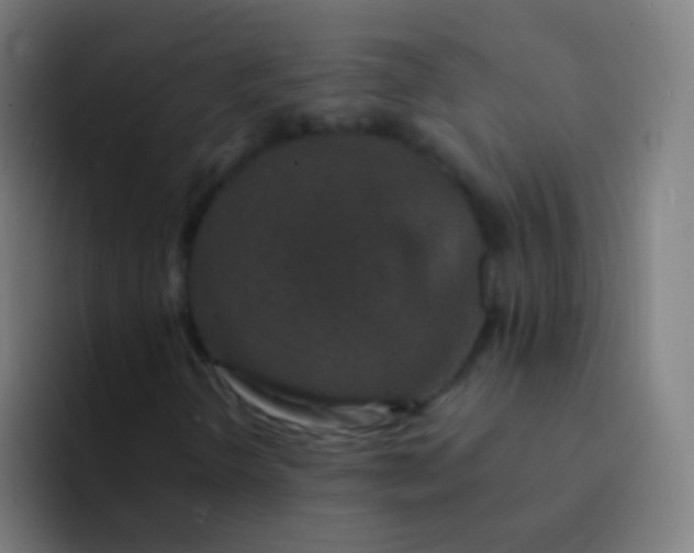 X0000094331298200711161941