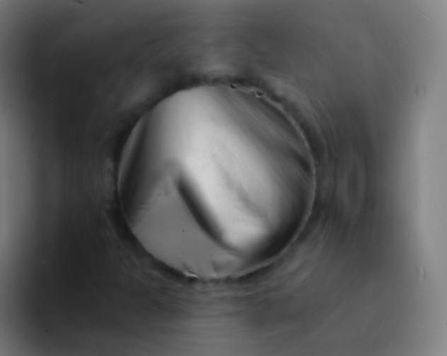 X0000094331301200711161942
