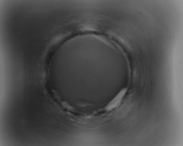 X0000094331303200711161942