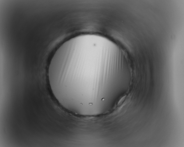 X0000094331304200711161942