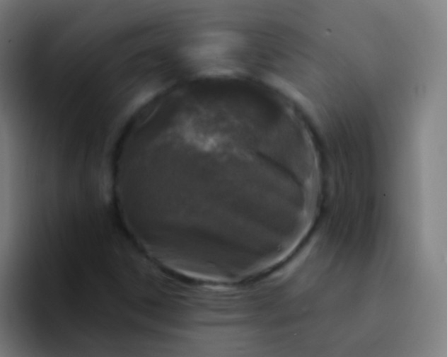 X0000094331306200711161942