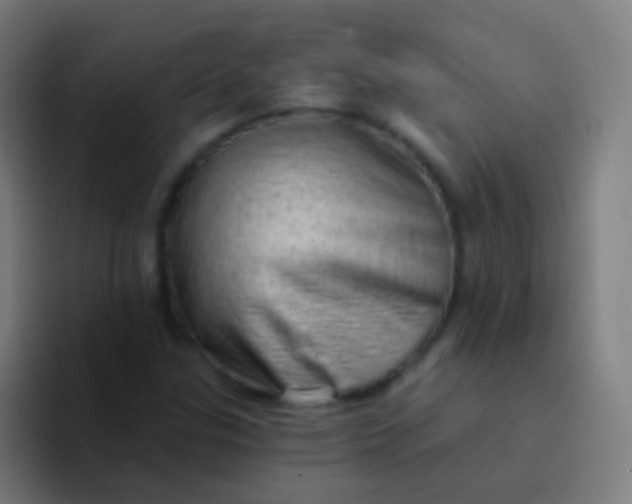 X0000094331307200711161942