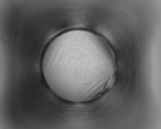 X0000094331308200711161942