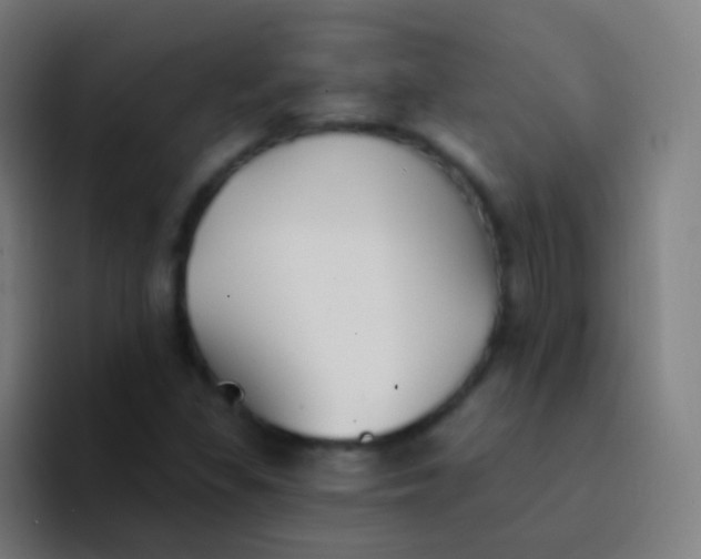 X0000094331309200711161942