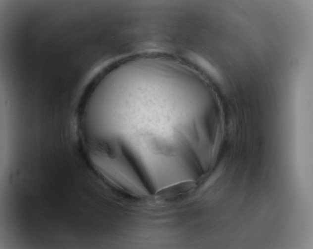X0000094331310200711161942