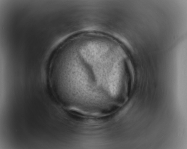 X0000094331311200711161942